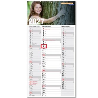 3-Monats-Kalender "Spectrum"