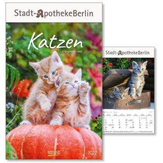 Kalender Katzen
