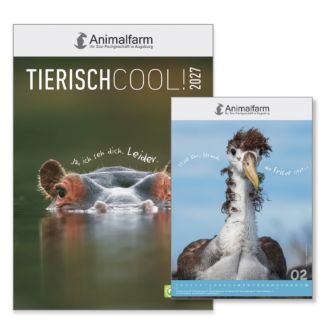 Kalender Tierisch Cool