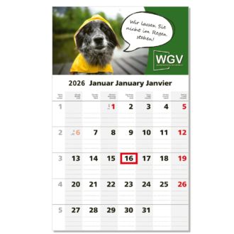 1-Monatsplaner Solo 1