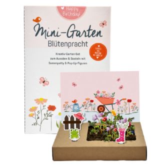 Mini Garten Blütenpracht