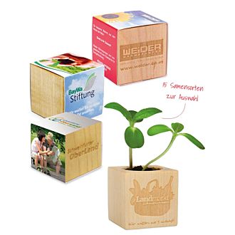 Pflanz-Holz mit Druck auf Banderole, inklusive Saat und Substrat