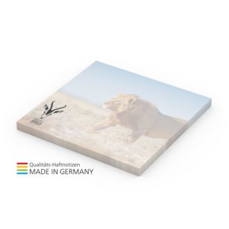 Haftnotizen Form 72x72mm green+blue