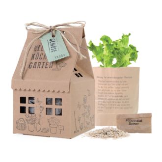 Kräuter Garten Haus