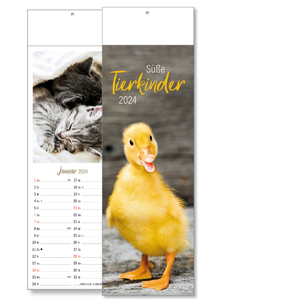 Werbeartikel Tierkinder Postkartenkalender Ausführung ohne Werbedruck